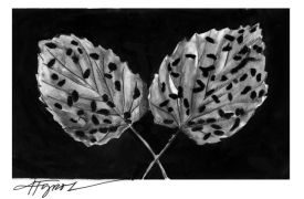 leaf_beetle_web.jpg thumbnail