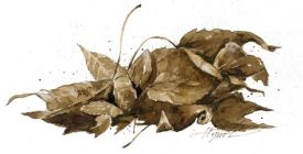 leaf_litter_web.jpg thumbnail