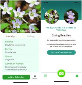 Plant identification apps thumbnail