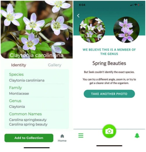 Plant identification apps