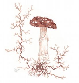 Lichen ink thumbnail