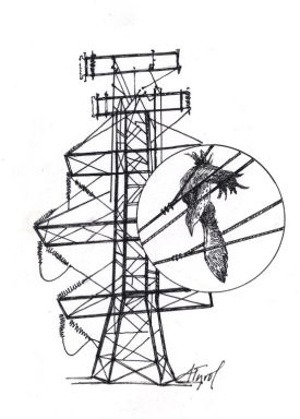 Light_pollution.jpg thumbnail