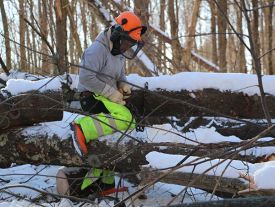 logging_header.jpg thumbnail