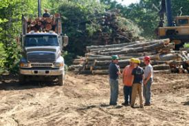 logging_image_IMG_4295_-_300-72.jpg thumbnail