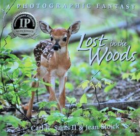 Lost-in-the-Woods-Cover.jpg thumbnail