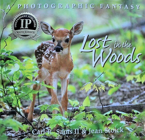 Lost-in-the-Woods-Cover.jpg