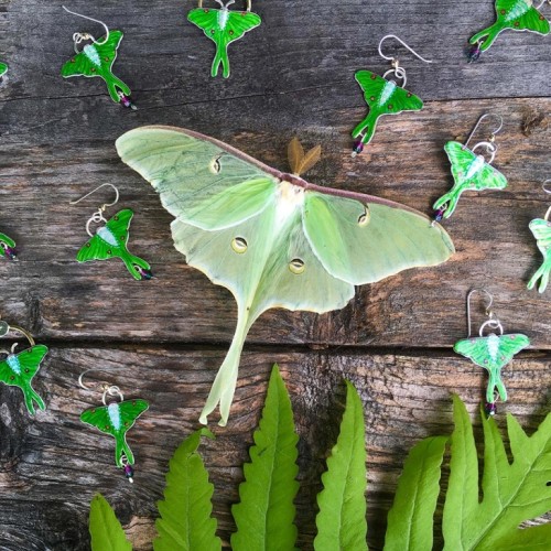 Lucy Golden Jewelery