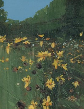 mabels-farm-field.jpg thumbnail