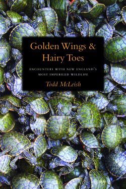 MacLeish.jpg thumbnail