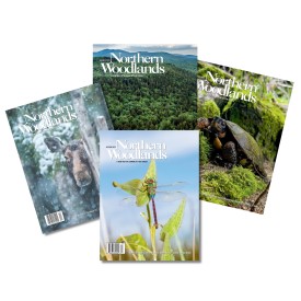 {title:attr_safe} thumbnail