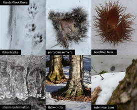 march-week-3-2026.jpg thumbnail