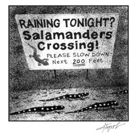 migrationpix.jpg thumbnail