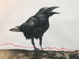 mirabile_screamin_raven.jpg thumbnail