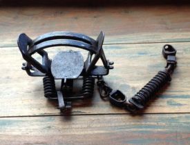 modern_coilspring.jpg thumbnail