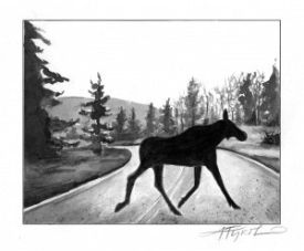 Moose_crossing.jpg thumbnail