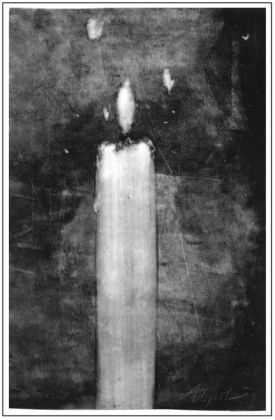 Moth_flame4web.jpg thumbnail