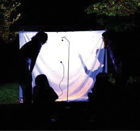 Moth observations thumbnail