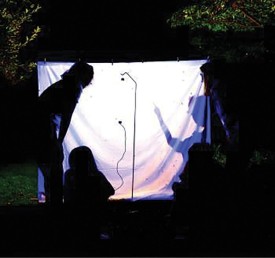 Moth observations thumbnail