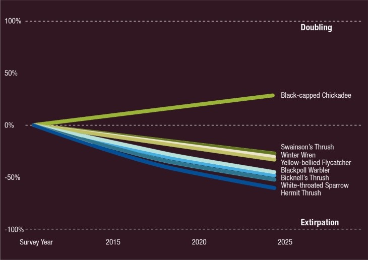 Mountain birds chart