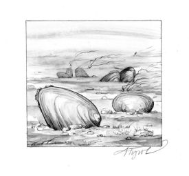 musselpix_800pop.jpg thumbnail