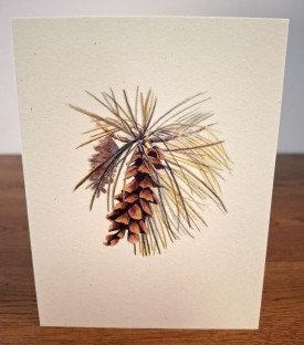 NC-EWP-white-pine.jpg thumbnail