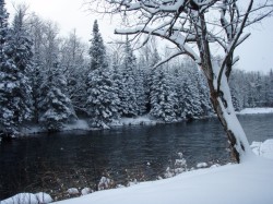 Connecticut river Photo: Michael Nestle