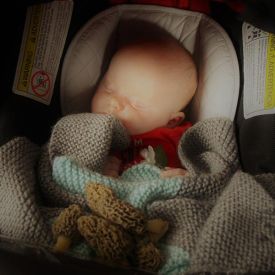 new-lu-morel-pic-w2.jpg thumbnail