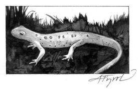 newtpix_800.jpg thumbnail