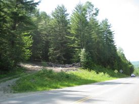 NW-blog-landings-photo-WEB.jpg thumbnail