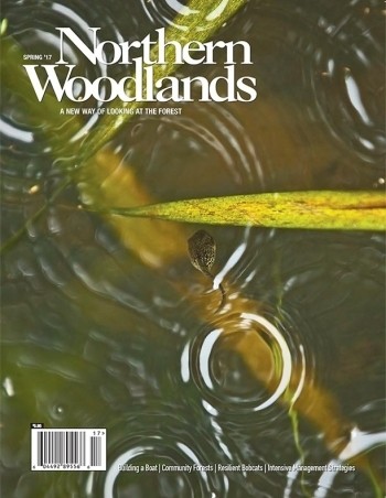 Photo by Chris Mazzarella Spring 2017 cover 