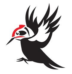 Woodpecker thumbnail