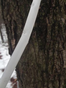 part_1_blog_pic_web.jpg thumbnail