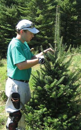 patrick_w1.jpg thumbnail