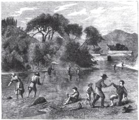 Pearl Fishing thumbnail