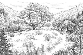 permanent_opening.jpg thumbnail