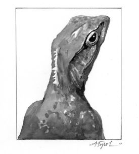 Pineal_body.jpg thumbnail