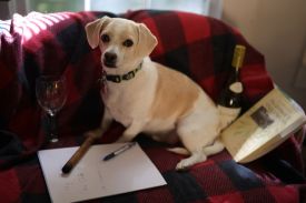 Poet percy thumbnail