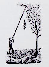 prune1.jpg thumbnail