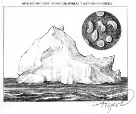 psychrophiles_w.jpg thumbnail