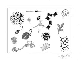 puddlespix.JPG thumbnail