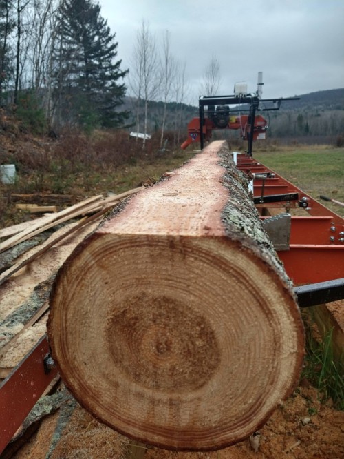 Portable sawmill