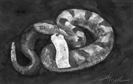 rattlesnake_web.jpg thumbnail