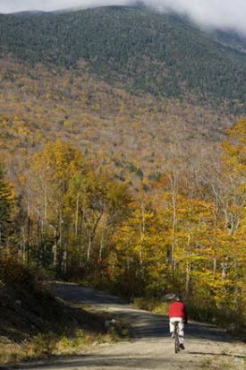 Rec_photo_Monkmans_cropped.jpg thumbnail