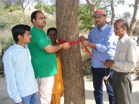 red-tape.jpg thumbnail