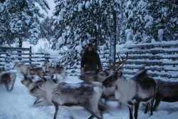 Reindeer_People_4.jpg