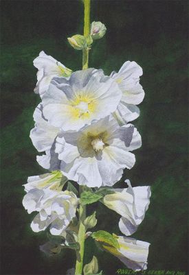 robert_obrien_artwork.jpg thumbnail