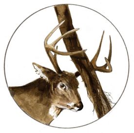 Rut_web.jpg thumbnail