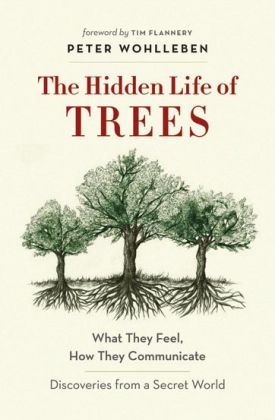 secret_life_of_trees.jpg thumbnail