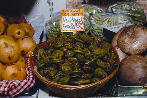 Selling fiddleheads