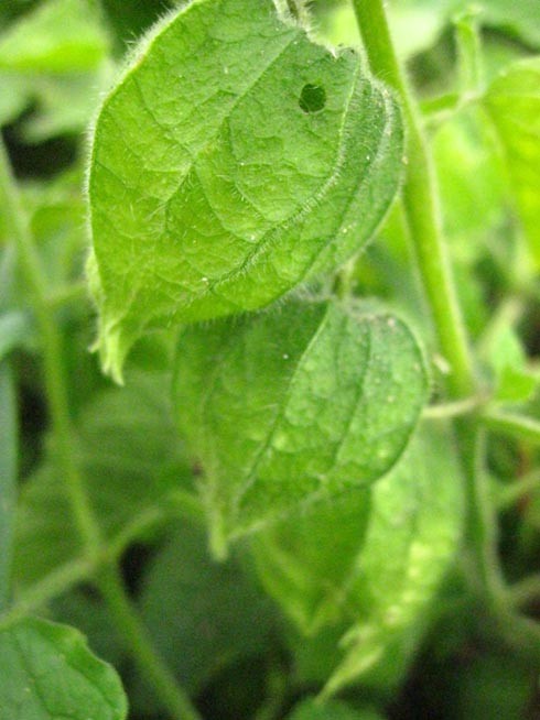 sept_7_web2.jpg Image